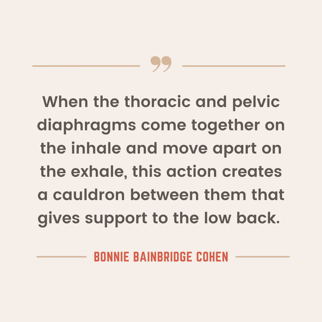 Relationship of the Thoracic and Pelvic Diaphragms in Breathing